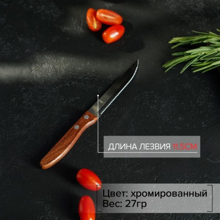 Knife Kitchen shade "Elbrus", gear blade 11.5 cm-1