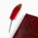 The genealogy book "Our family", with a pen, 65 sheets, Bordeaux, 35 x 25 cm