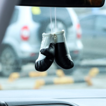Suspended flavor, boxing gloves, refreshing lemon-1
