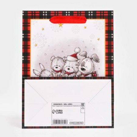 Gift, laminated, "Friends" package, 18 x 23 x 10 cm-4