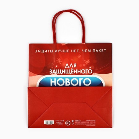 Gift package "Protected New Year", 22 x 22 x 11 cm, new year-5