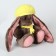Soft toy "LI traveler", bunny