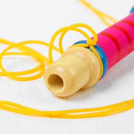 Musical toy "Dudchka on a rope", tall, Mix color-11