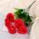 Bouquet "Open" 6x34 cm, mix