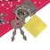 Notebook Gift Book on a lock, A5, 50 sheets, line, "Butterfly", mix