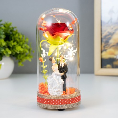 The nightlight "Bridegroom and Bride" LED from batteries LR44 8x8x19 cm Risalux-1