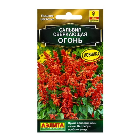 Salvia flowers sparkling "fire", c/p, 0.05 g