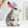 Piggy bank "Hare Tosha" 13x10x20cm
