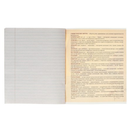 Substantial notebook Calligrata "Metal", 48 sheets in the line of literature, with reference material, cover coated cardboard, block No. 2, whiteness 75% (gray sheets)-3