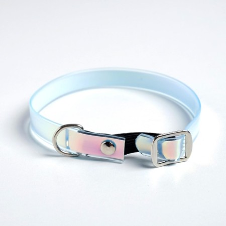 A collar for dogs and cats with Fasteks "Neon", 30 x 1 cm-1