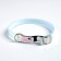 A collar for dogs and cats with Fasteks "Neon", 30 x 1 cm