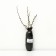 Barberis Tunberg "Green Ornament", 1 pc, tube, spring 2024