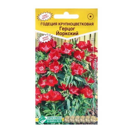 Flower seeds Godegia Large -flowered "Duke of York", 0.1 g