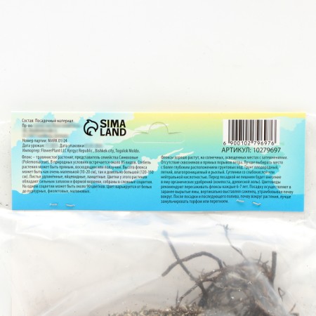 Flox "Starfire" rr I, 2 pcs,-3