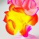 Night "Bouquet" LED from batteries mix h.38 cm Risalux