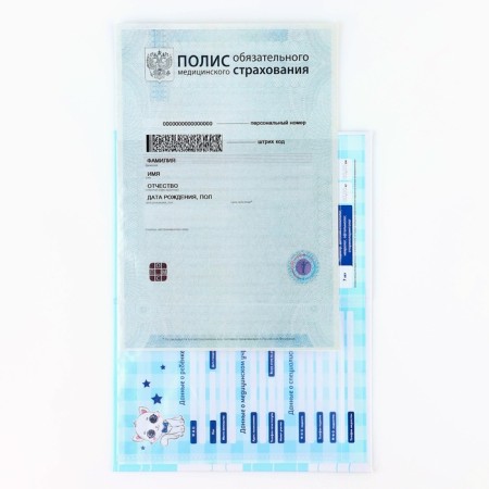 The folder for the medical policy "Our kitten", 17.5 x 11.3 cm.-4