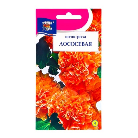 Flower seeds "Salmon" Shtok-rose, 0.1 g