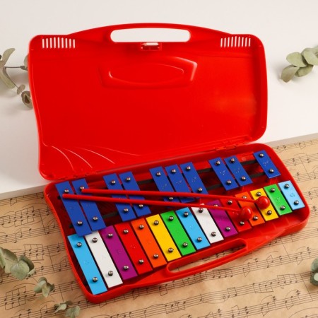 Musical tool Music Life, 25 tones, case, 2 sticks, red
