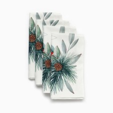 Set of napkins Ethel Years Treat 40x40 cm, 4 pcs. 100% HL, sarzha 190g/m2