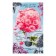 A set of kitchen towels of the “most charming” shares 35x60 cm - 2pcs, 100% HL