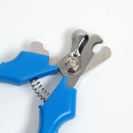 Small Economy Coogers, 12 x 4.5 x 1.4 cm, blue-1