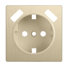 WSB lining WL10-USB-CP socket, champagne color