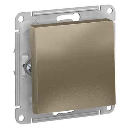 Switch Se Atlasdesign, 10 a, 1 key, CX 1, mechanism, champagne color-1