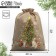 A bag of thermonacle "Christmas tree", 30 x 40 cm +/- 1.5 cm, New Year