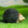 Garden figure "Hedgehog Hedgery" 19x14x13cm