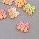 Decor for creativity plastic "Chamomile after a fence" set 6 pcs 2.5x2x1 cm