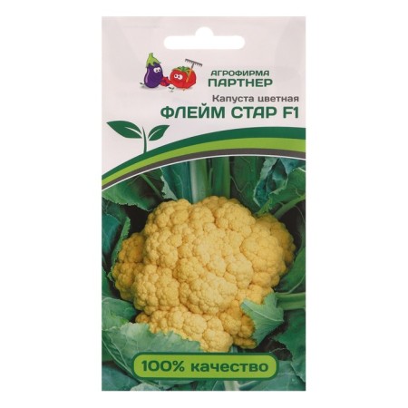 Seeds Cabbage Color "Flam Star", F1, 7 pcs.