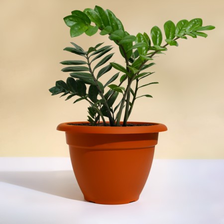 Flower pot, d = 30 cm, 7.5 l, plastic, brown-1