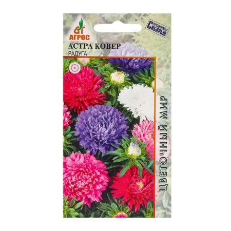 Seeds Astra carpet Rainbow 0.3g*