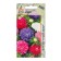 Seeds Astra carpet Rainbow 0.3g*