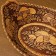 Oval "mushroom" d 21.5 cm; Sh 17 cm; 8.5 cm, birch bark