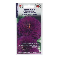 Cinnia flowers 