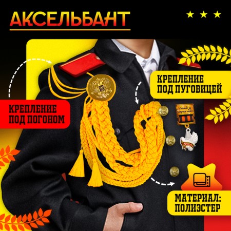Carnival set "For Victory Parade": Axelbant, badge, gold color-2