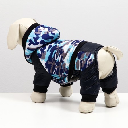 Combineson for dogs on a fur lining with a hood, size S (DS 22, Osh 30, OG 36 cm)-3