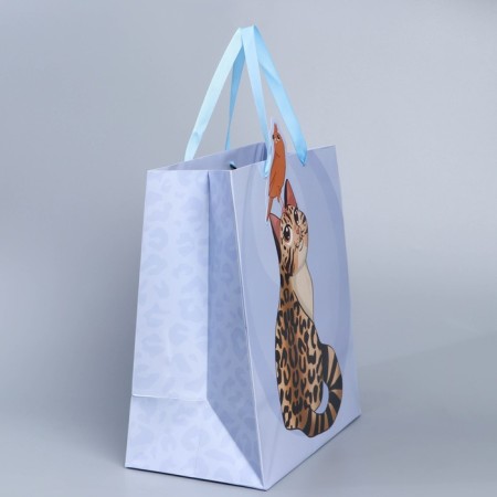 Gift package, packaging, "cat", 30 x 30 x 15 cm-1