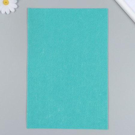 Hard felt 2 mm 20x30 cm, mint-2