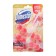 Domestos Power 5 Duo Georgin and Dragonfright 100 GR unit