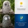 Lamp Garden era on the sunny battery "Polar owl" Led, IP54