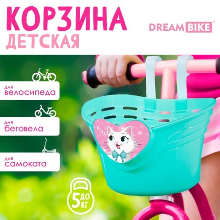 Children's basket Dream Bike "Meow!", Biryuzovoy color