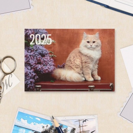 Pocket calendar "Cats" 2025, 7 x 10 cm-3