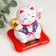 Plastic pendulum from the solar battery "Cat Mani-Neko in a vest" MIX 9x7.5x7 cm