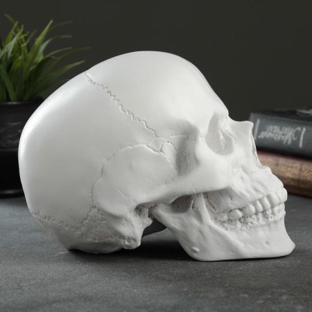 Pigger "Skull" Bely, 16x13x22cm-3