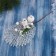 Decor "Winter charm" apple berries lace in white, 22 cm