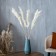 Sukhotzet "Pampas grass" set of 5 pcs., Beige color
