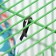 House "rectangle" for rodents 19*19*12 cm, calico, fleece, foam rubber, watermelon