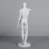 Gypsum figure is anatomical: Gudon, 73.5 cm